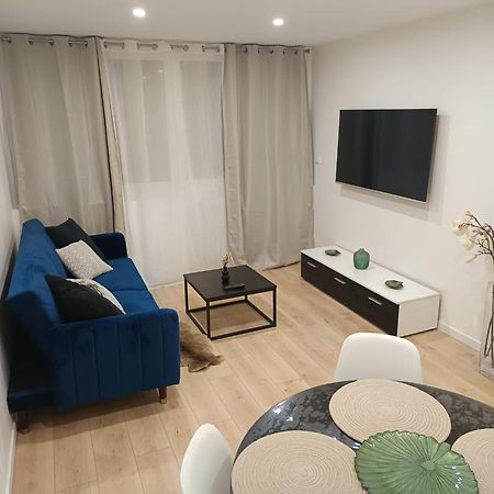 Superbe Appartement ! سانت إتيان المظهر الخارجي الصورة
