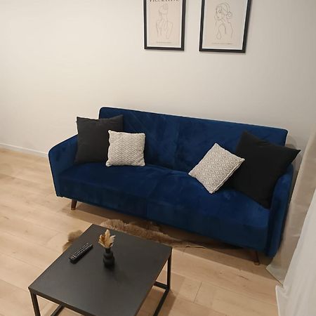 Superbe Appartement ! سانت إتيان المظهر الخارجي الصورة
