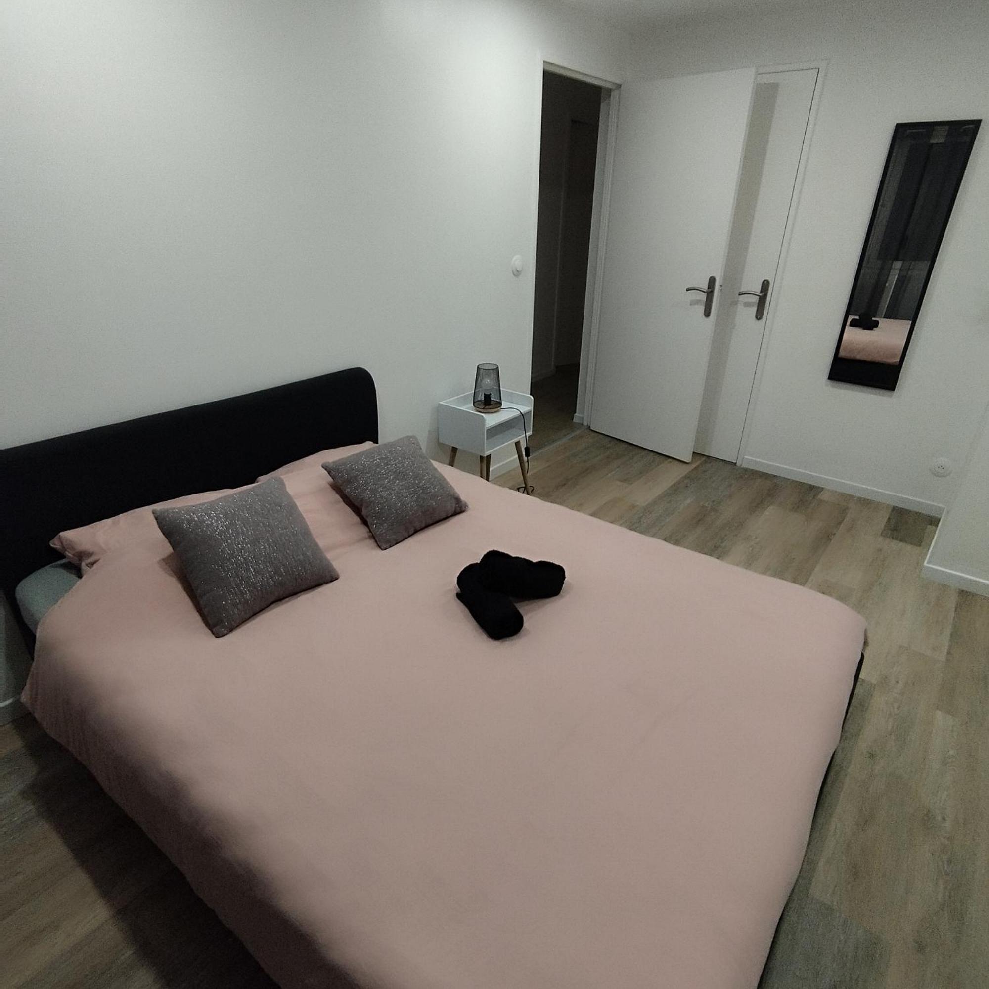 Superbe Appartement ! سانت إتيان المظهر الخارجي الصورة