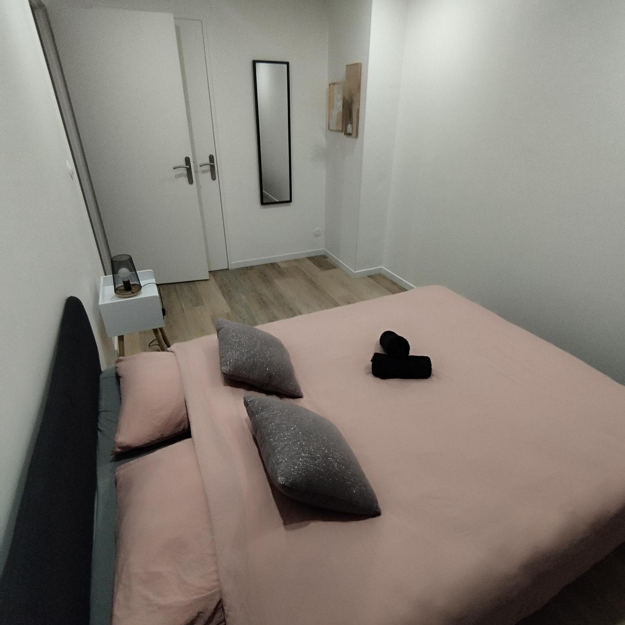 Superbe Appartement ! سانت إتيان المظهر الخارجي الصورة
