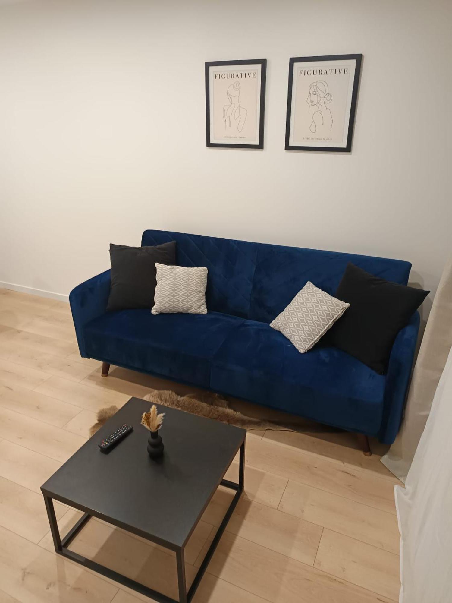 Superbe Appartement ! سانت إتيان المظهر الخارجي الصورة