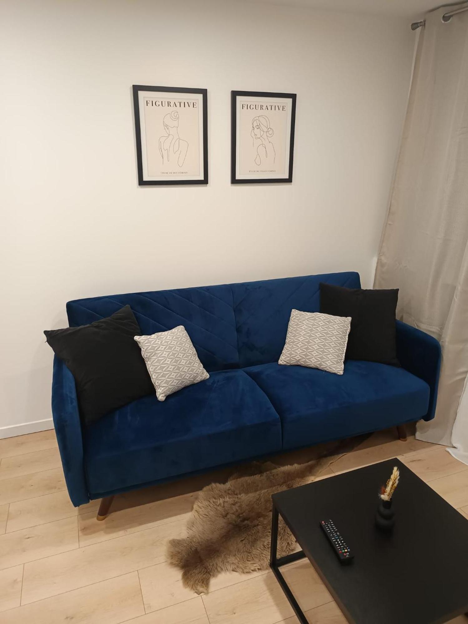 Superbe Appartement ! سانت إتيان المظهر الخارجي الصورة